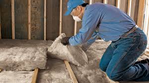 Professional Insulation Services in Salida Del Sol Estates, TX