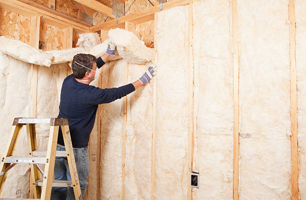 Types of Insulation We Offer in Salida Del Sol Estates, TX